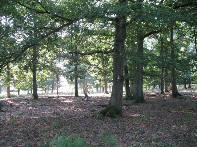 2007 08 Bois de Rochefort 16